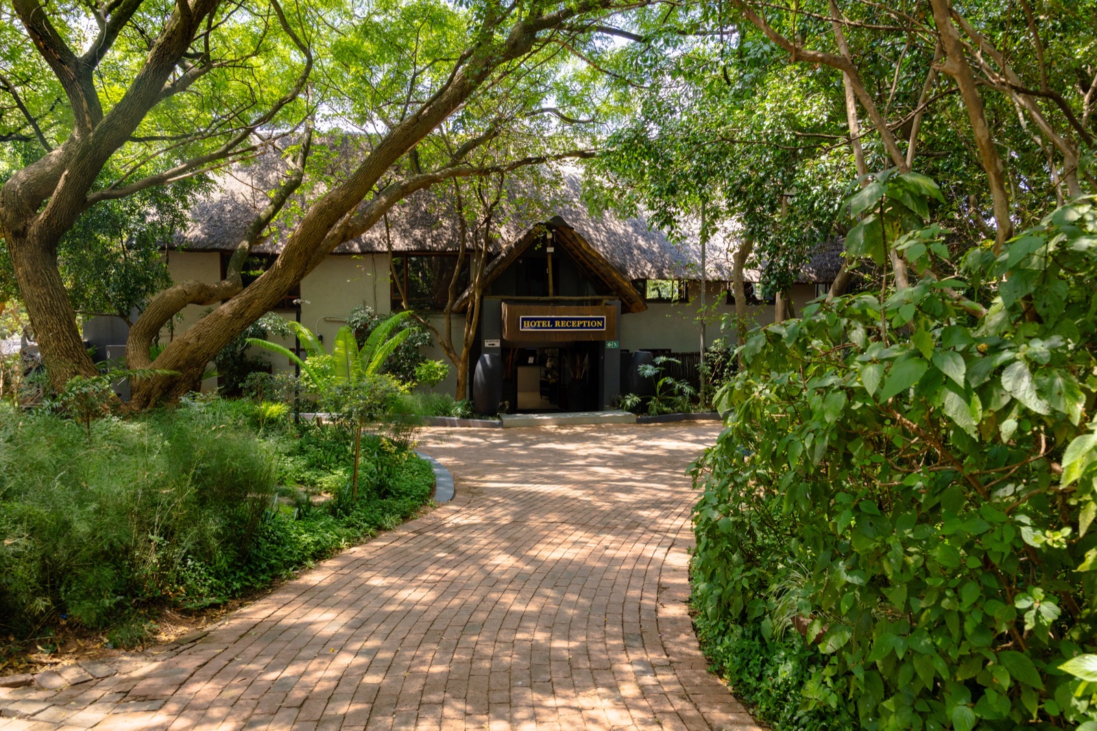 Real Estate Photo 26