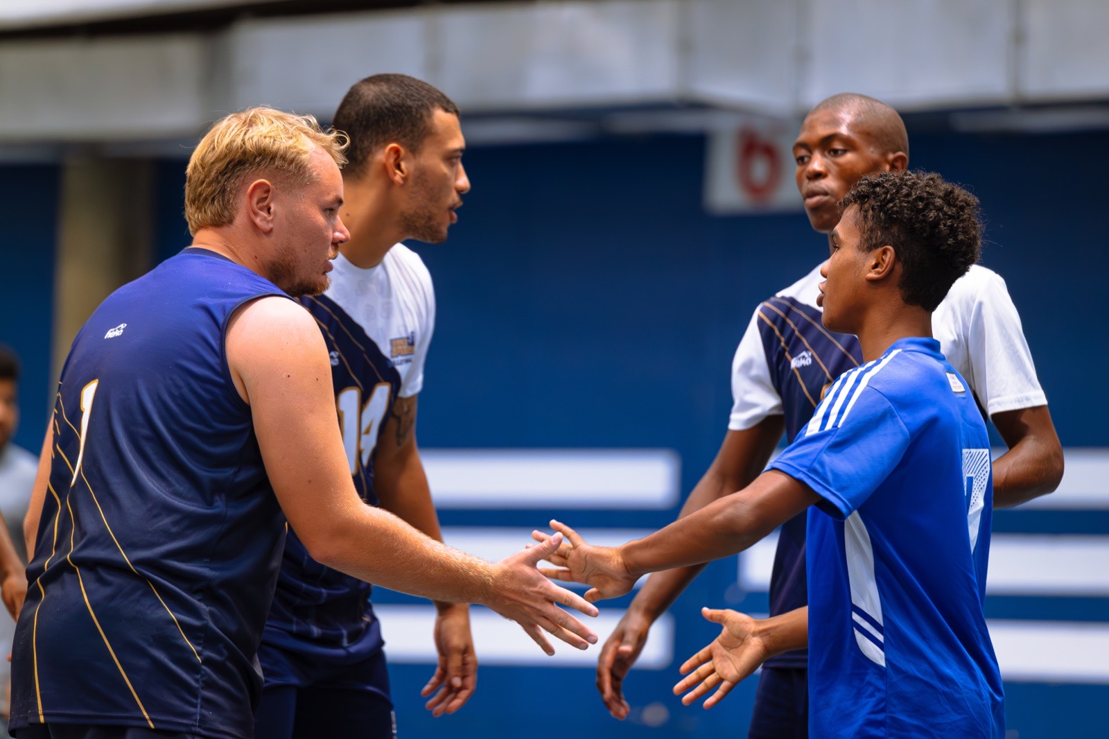 Volleyball Preview 2